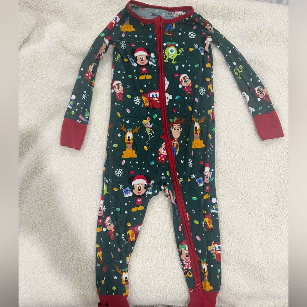 Disney Christmas Zippy